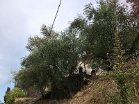 foto 183